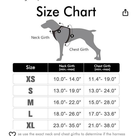 Rabbitgoo Dog Harness & Leash Medium - Picture 2 of 2